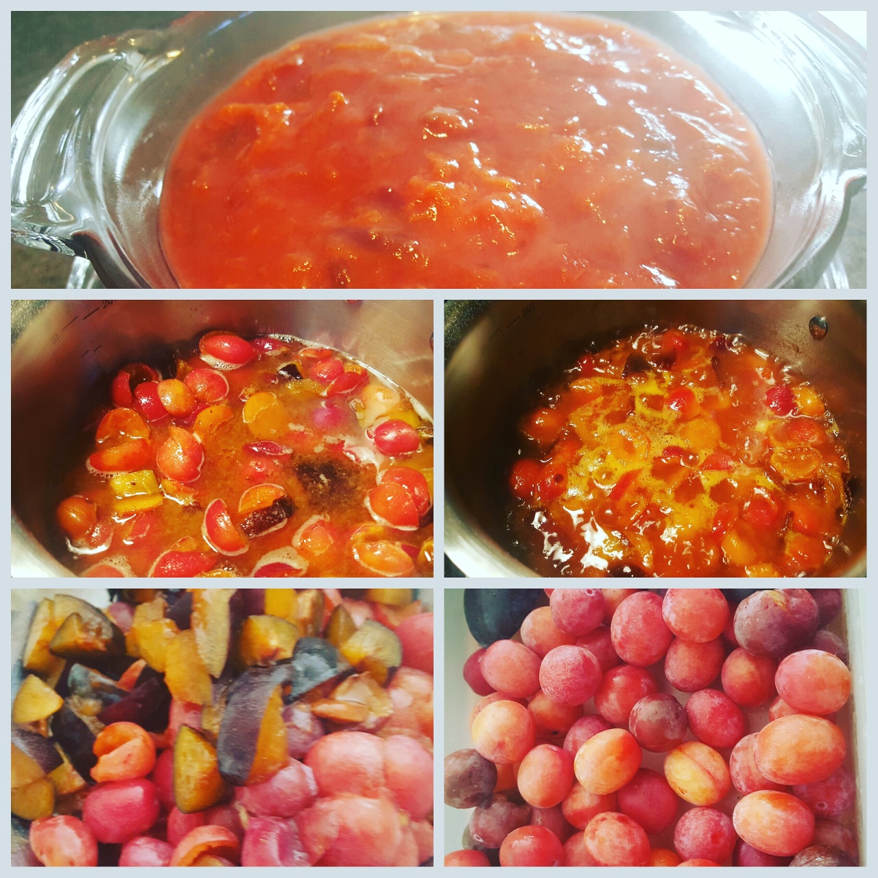 harvest-homemade-prune-jam