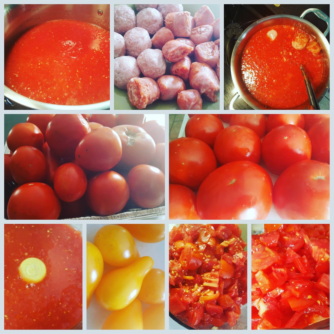 harvest-homemade-tomatoe-sauce