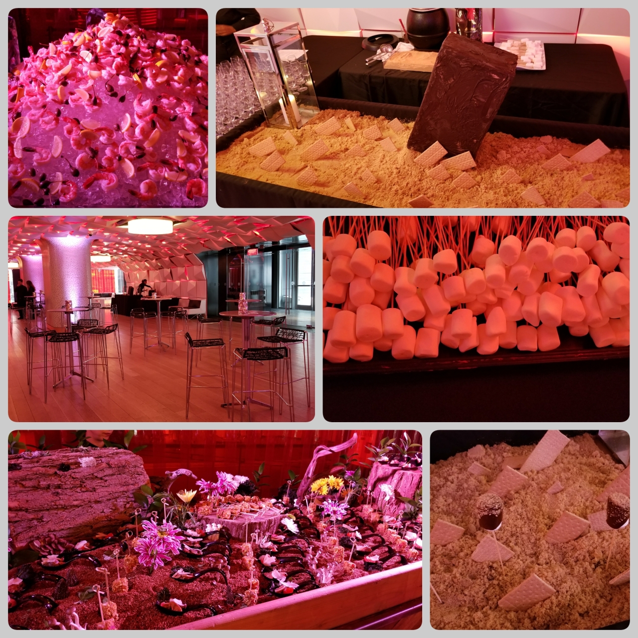 catering-launch